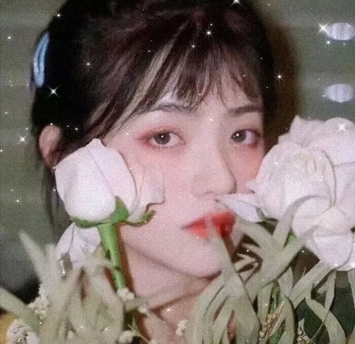 我的非凡父母